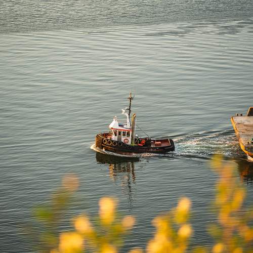 Photo #12882803