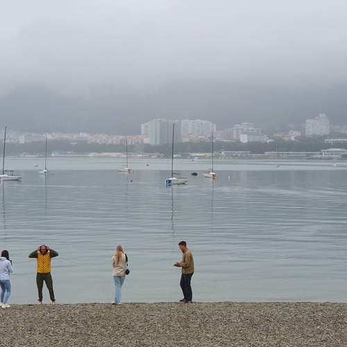 Photo #12882808