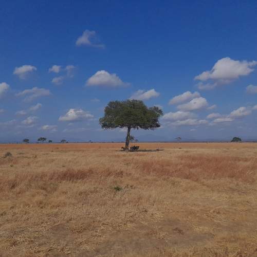 Photo #12883001
