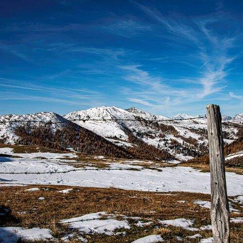 Photo #12883015