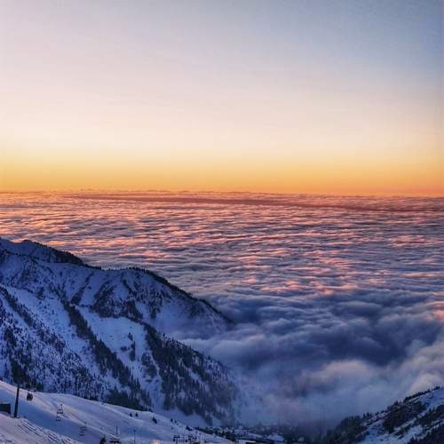 Photo #12883057