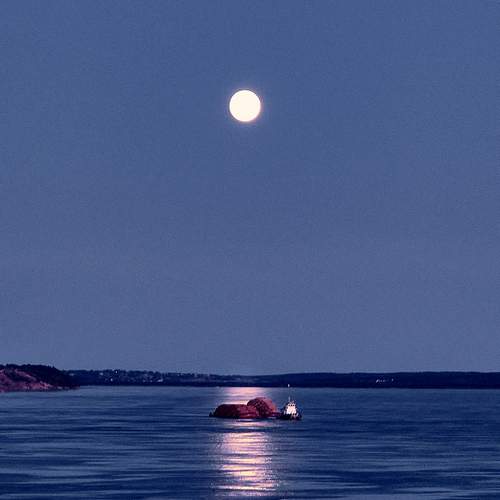 Photo #12883074