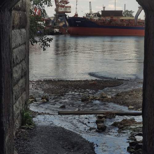 Photo #12883437