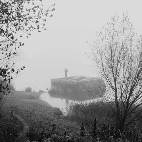 Photo #12883608