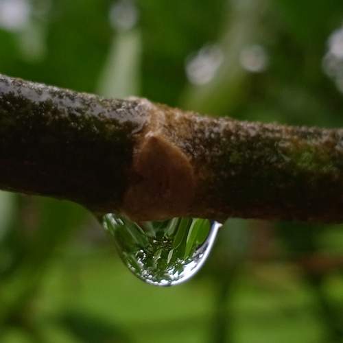 Photo #12883629
