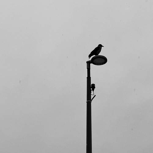 Photo #12883809