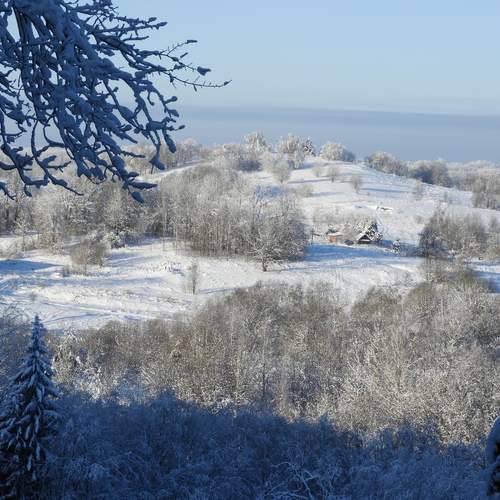 Photo #12884244