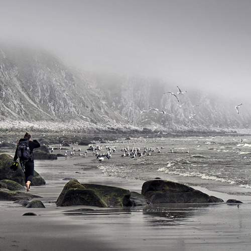 Photo #12884358