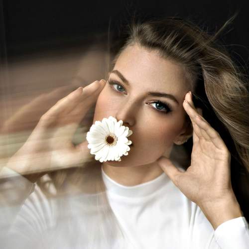 Photo #12885449