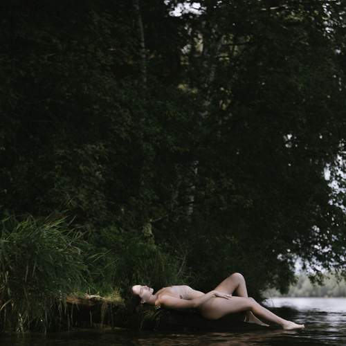 Photo #12885847