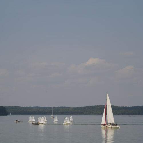 Photo #12885860