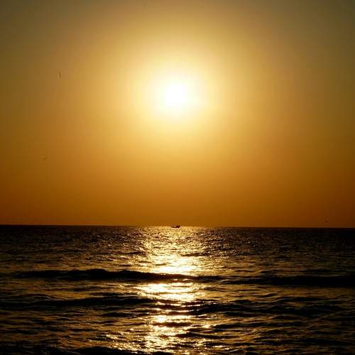 Photo #12886008