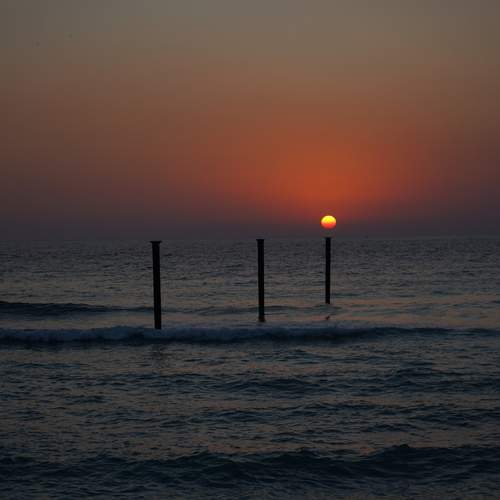 Photo #12886016