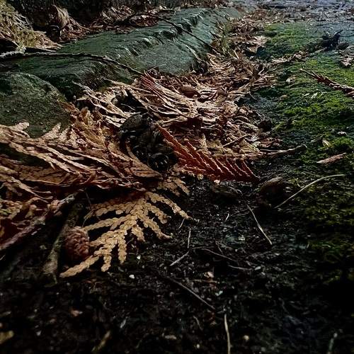 Photo #12886177