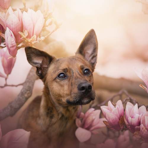 Photo #12886284