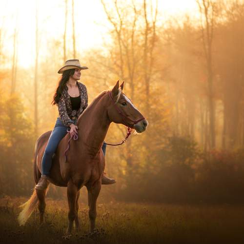 Photo #12886297