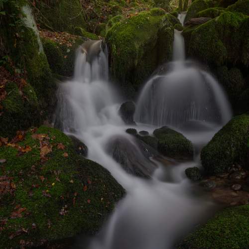 Фотография #12886450