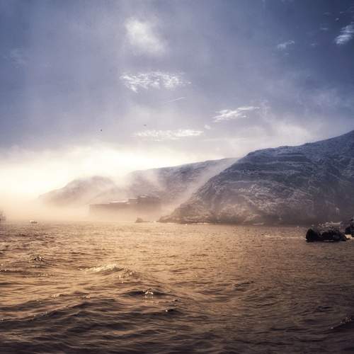 Fog