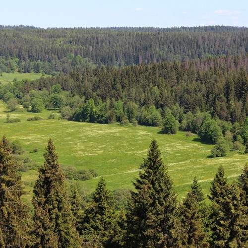 Photo #12886771