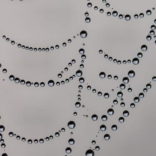 Photo #12886852