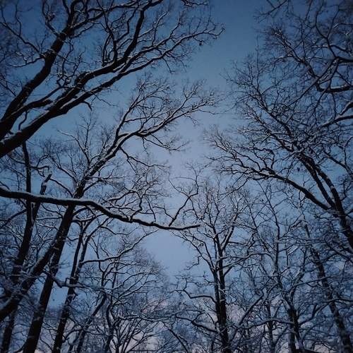 Photo #12887049