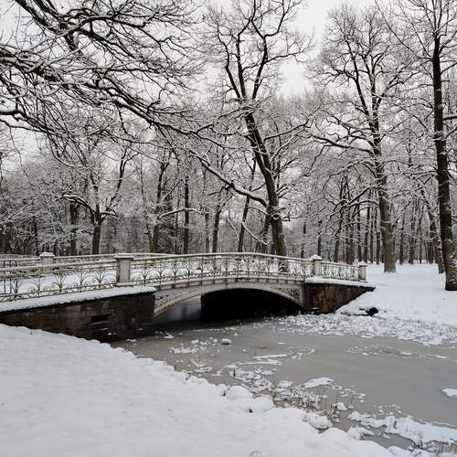 Photo #12887061