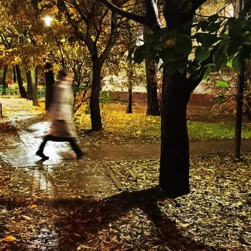 Photo #12887083