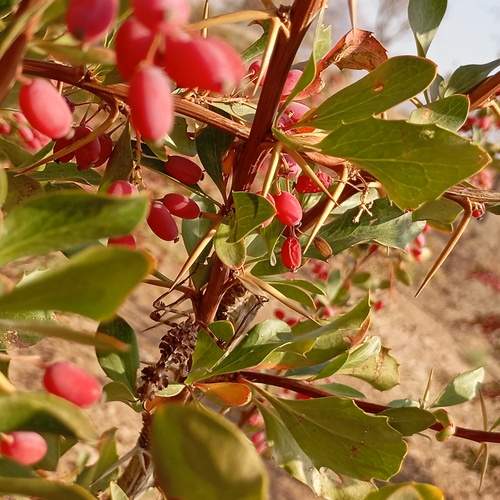 Photo #12887206