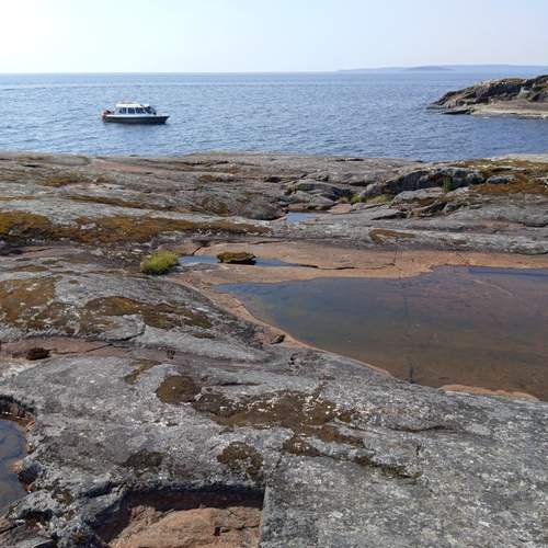 Photo #12887375