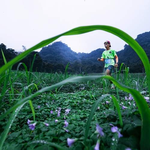 Photo #12887654