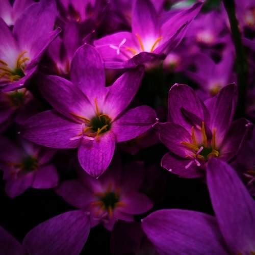 Photo #12887941