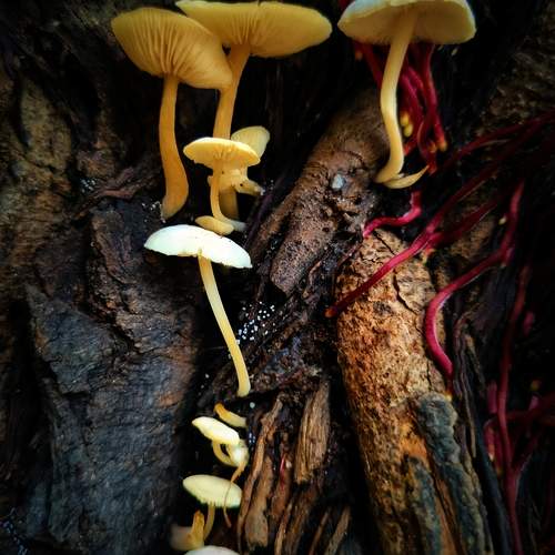 Photo #12887962
