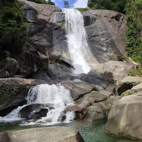 Photo #12887982