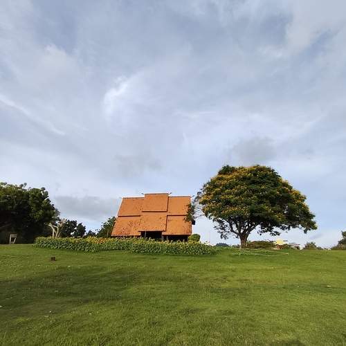 Photo #12887986