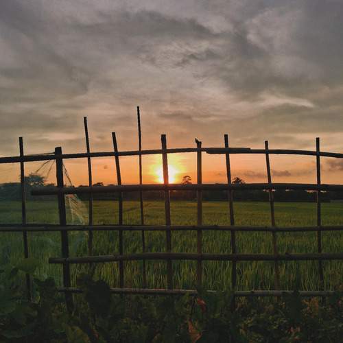 Photo #12888129