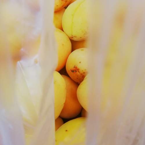 Photo #12888749