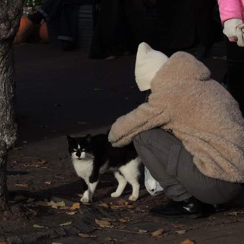 Photo #12888845