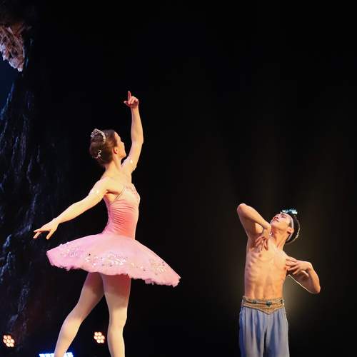 Photo #12889356