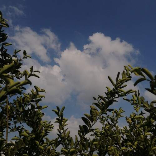 Photo #12889732