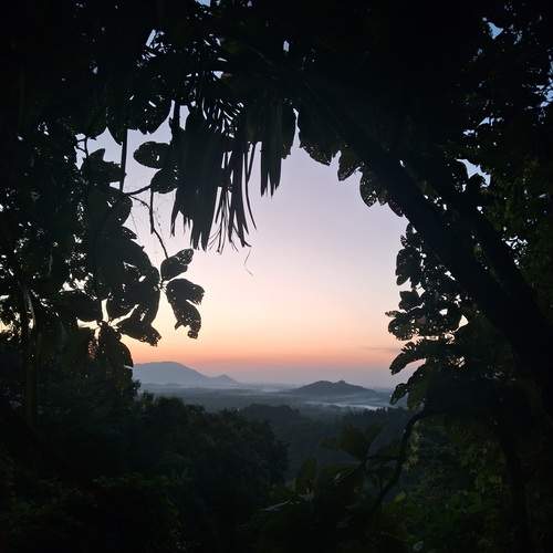 Photo #12889742