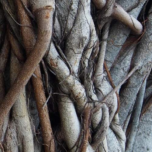 Photo #12890182