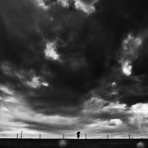 Photo #12890183