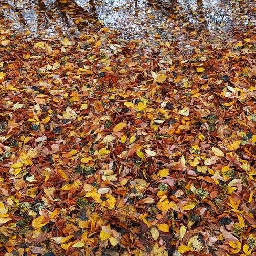 Photo #12890271