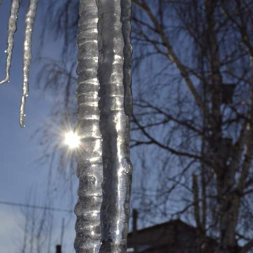 Photo #12890363