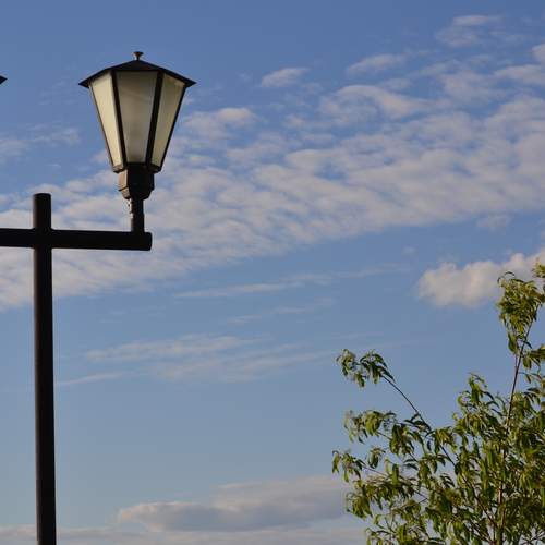 Photo #12890409