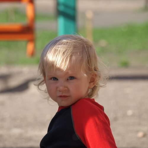 Photo #12890671