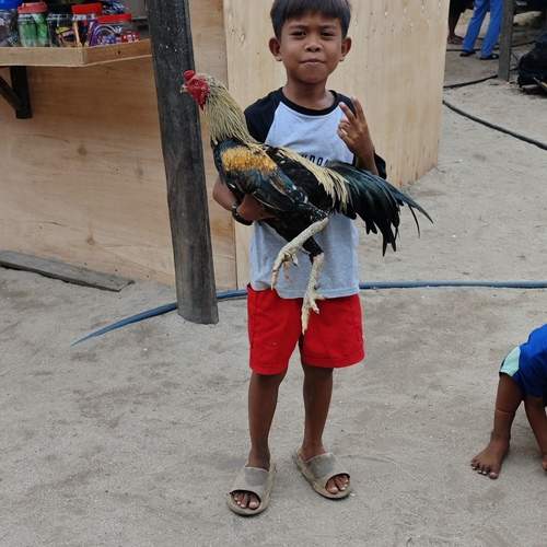 Photo #12890857