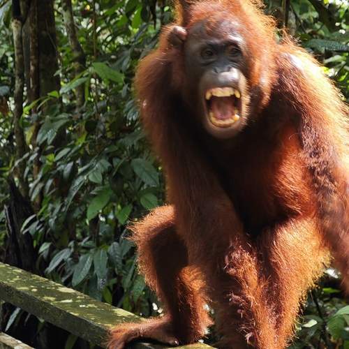 Photo #12890914