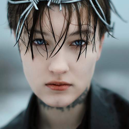 Photo #12891042