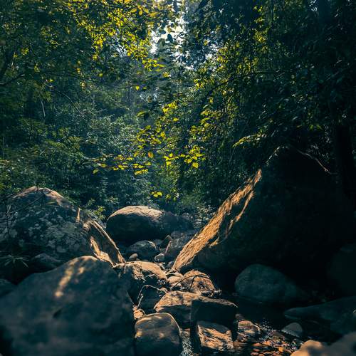 Photo #12891051